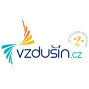 vzdusin