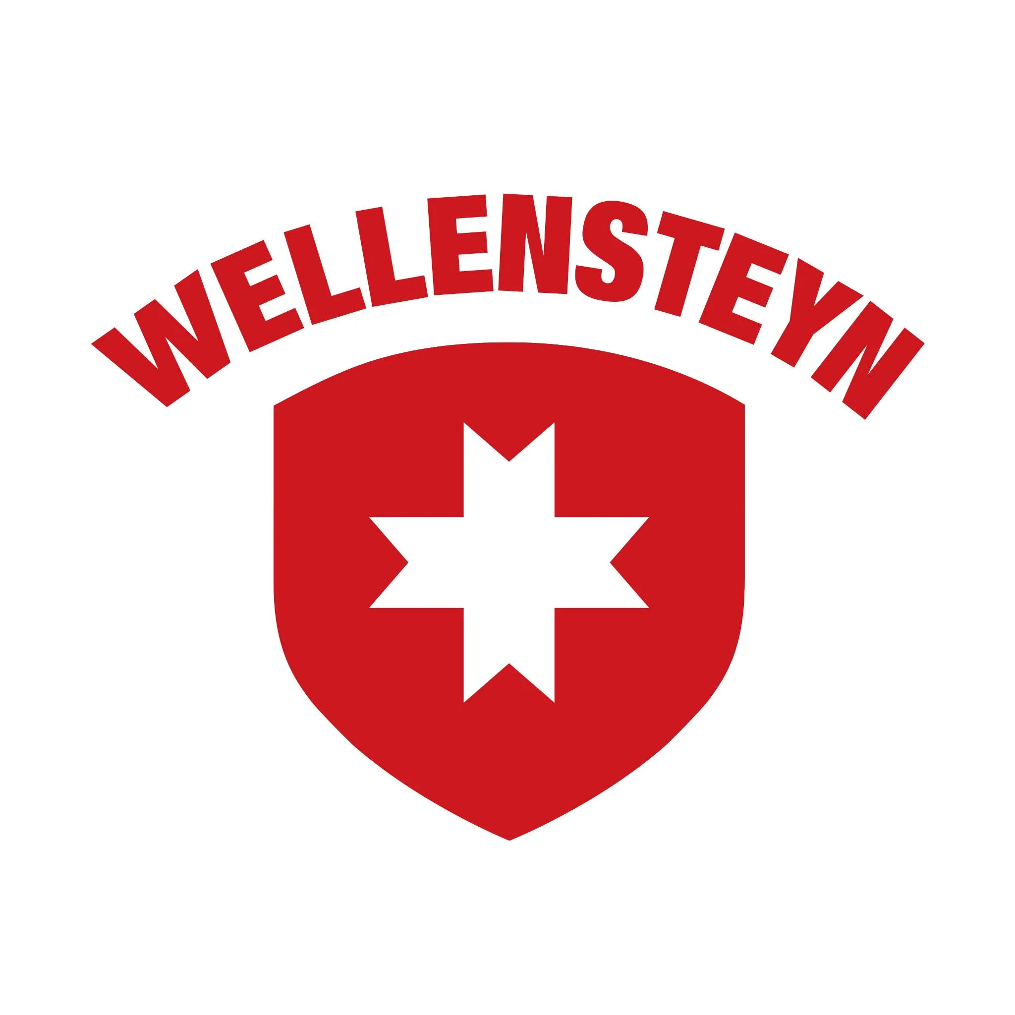 Wellensteyn.cz